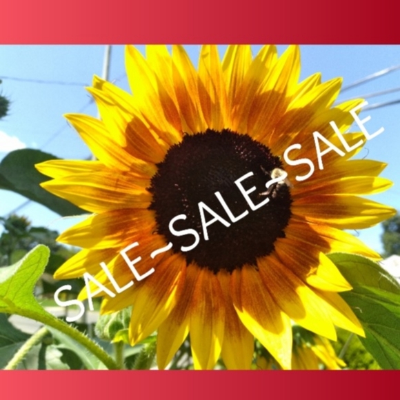 SALE - Picture 1 of 1